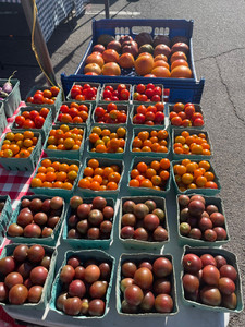 Down to Earth Rye Farmers Market