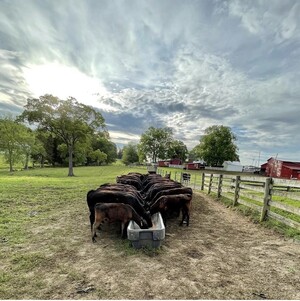 Brodie Farm