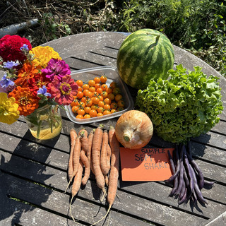 House in the Woods CSA