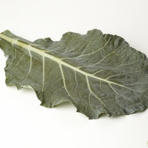 LocalHarvest