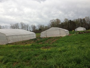 Redbud Farm, Certified Organic