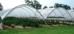 Manoff Market Gardens
