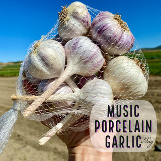 Sage Mountain Farm