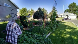 Square Foot Gardening for the Red River Valley