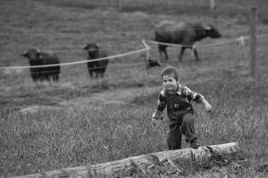 Mulberry Farm