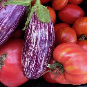 The Boreal Farm, LLC
