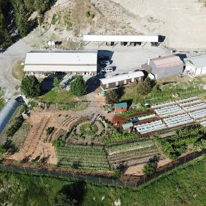 Ubuntu Spirit Farms