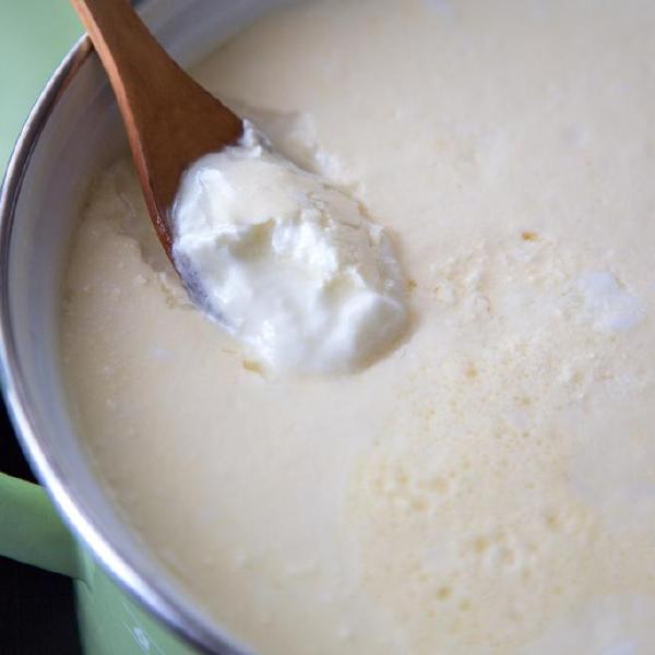 goat yogurt
