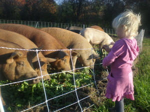 Blackbrook Farm