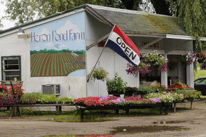 Heron Pond Farm