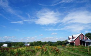 Roots to River Farm