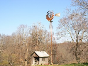 Newark Farms