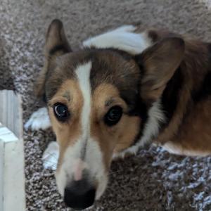 Aspen Moon Farm LLC