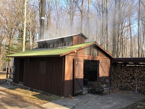 Carey's Sugar Bush