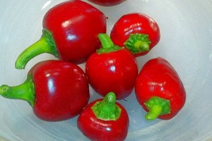 Refining Fire Chiles