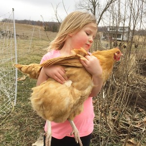 Belvedere Farmstead LLC