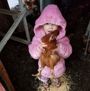 Aldrich Family Farm