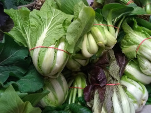 Brattleboro Winter Farmers' Market