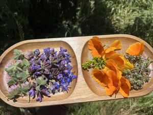 Indigi Golden Herbals Farmstead