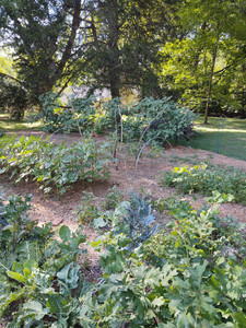 Pont Reading Farm