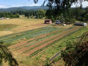 Food Waves/Converging Creeks Farm