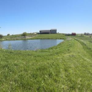 Hills & Hens Farmstead
