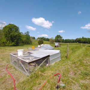 Little Way Farm