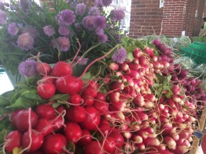 Savoie Organic Farm