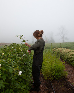 Maitri Farm