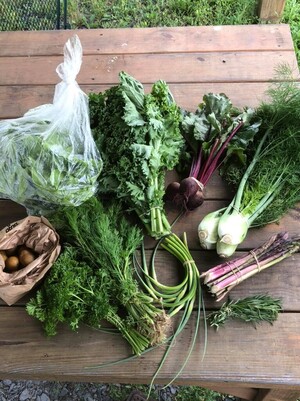 Fresh Meadow Farm