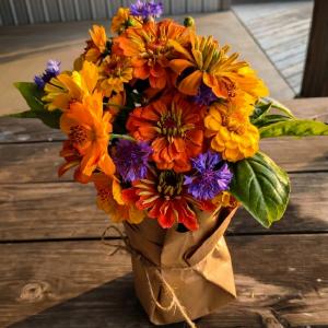 Northfarthing Farms