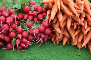 Fontana Farmer's Market