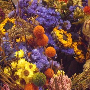 Hammelmans Floral LLC