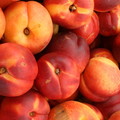 Good Box Organics