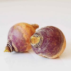 Harvest Tide Organics