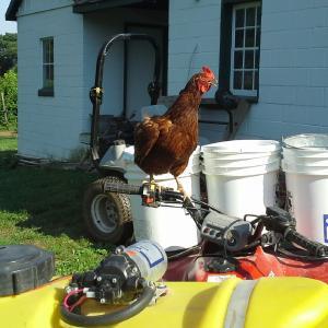 Miolea Organic Farm