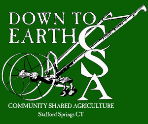 Down to Earth CSA