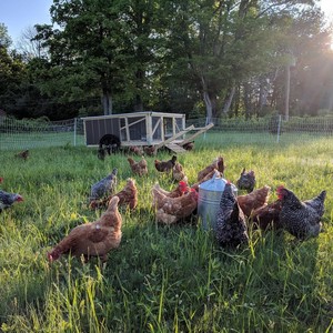 Double Jay Farm