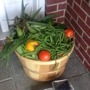 Sugarfoot Farms