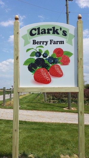 Clark's Berry Farm
