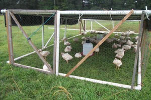 Little River Eco Farm