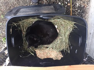 Freeway Farm