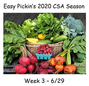 Easy Pickin's Orchard