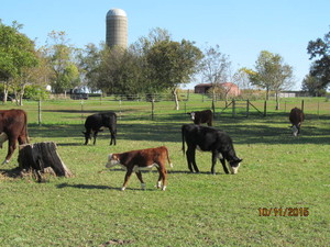 Summerdale Farms, Inc.
