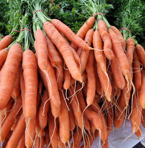 Carlton County Farmers' Market: Cloquet