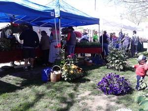 Natick Farmers' Market