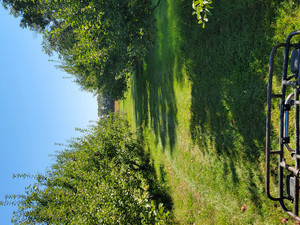 Jersey Isle Orchard
