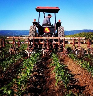 Terra Firma Farm