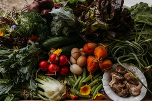 Firmly Rooted Farm