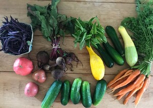 Dinner Bell Farm